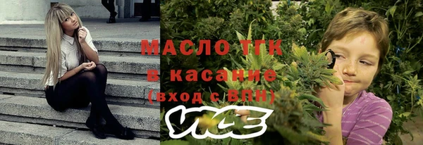амф Протвино