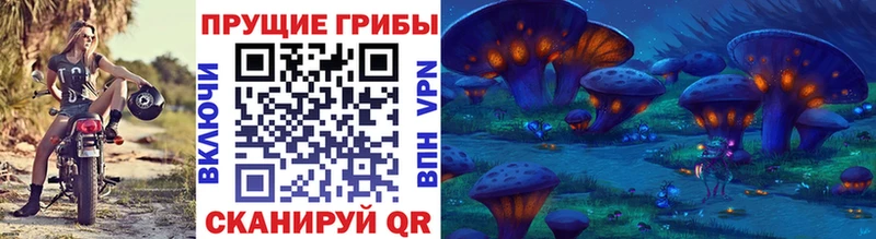 Галлюциногенные грибы Cubensis  Сланцы 