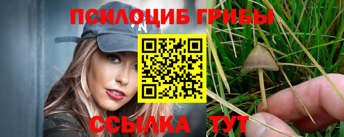 Псилоцибиновые грибы Cubensis Сланцы