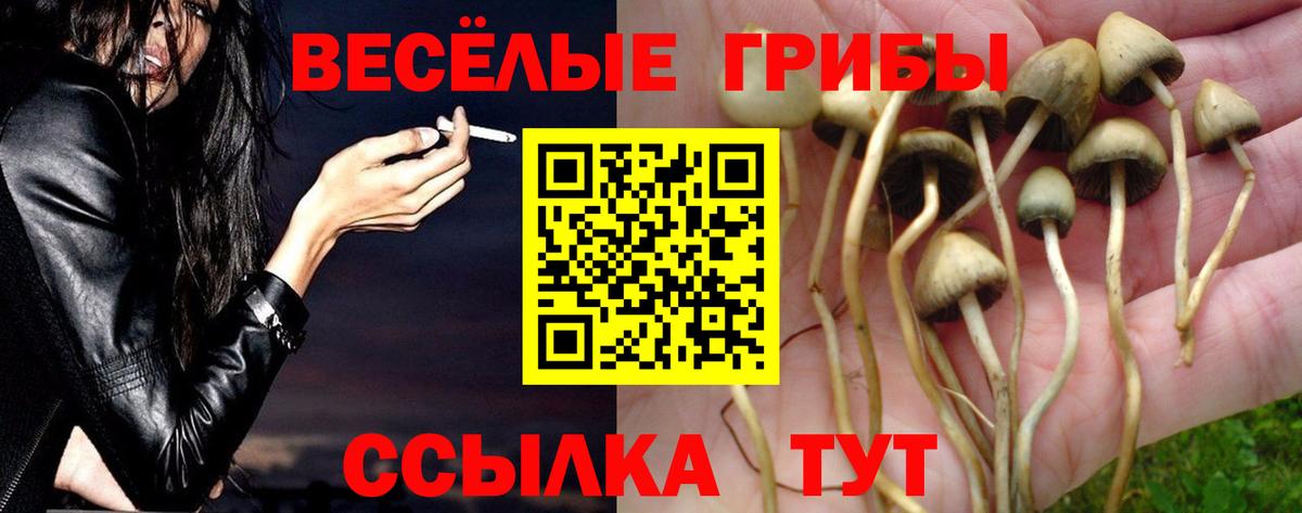 Галлюциногенные грибы прущие грибы  Вход с VPN  купить закладку  Сланцы 