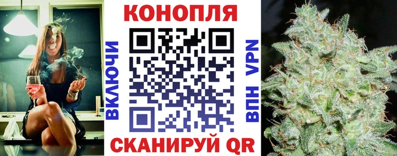 Каннабис сатива  Сланцы 
